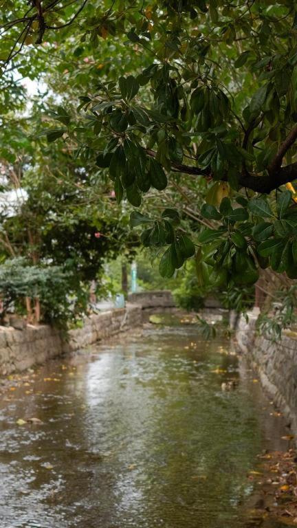 Kyoto Hatsune Hotel Bagian luar foto